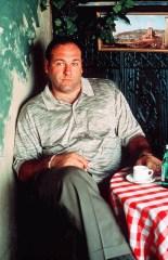 Editorial use only. No book cover usage.
Mandatory Credit: Photo by Anthony Neste/Hbo/Kobal/Shutterstock (5886200g)
James Gandolfini
The Sopranos - 1999
Hbo
USA
Television
Opera