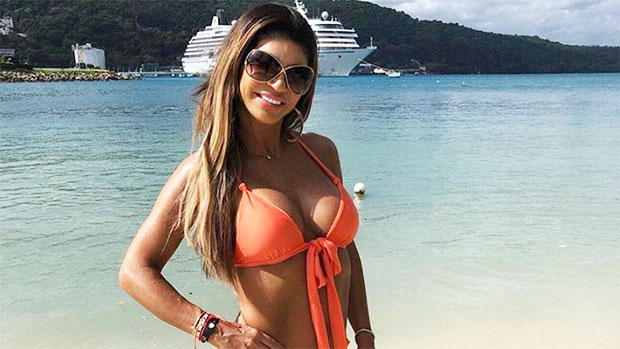 Teresa Giudice Is Obsessed With Tanning: She Loves Looking Young & Hot ...