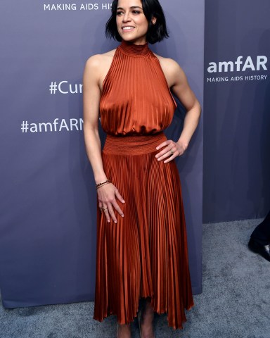 Michelle Rodriguez
amfAR Gala, Arrivals, Fall Winter 2019, New York Fashion Week, USA - 06 Feb 2019
Wearing A.L.C.