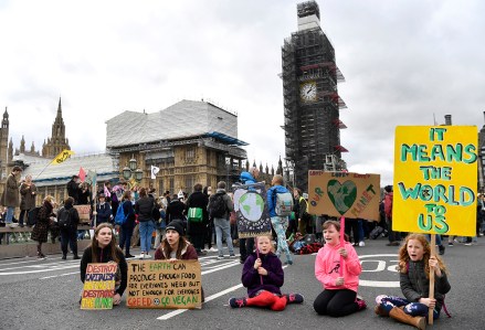 Students take part in a demonstration against climate change during a Friday Global Climate Strike closing Westminster Bridge, with Westminster Palace in the background, in London, Britain, 15 March 2019. Students across the world are taking part in a massive global student strike movement called #FridayForFuture which was sparked by Greta Thunberg of Sweden, a sixteen-year-old climate activist who has been protesting outside the Swedish parliament every Friday since August 2018.
Students strike for climate change in London, United Kingdom - 15 Mar 2019