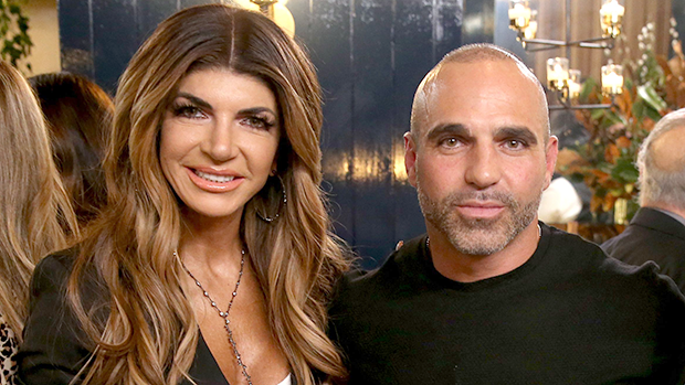 Teresa Giudice Lent Joe Gorga $15k To Start Career: ‘She Supported Me ...