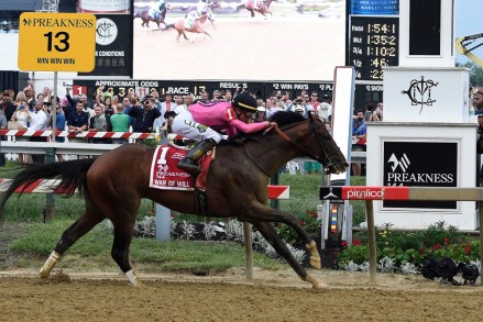 War of Will, ridden by Tyler Gaffalione, crosses the finish line first to win the Preakness Stakes horse race at Pimlico Race Course, in Baltimore
Preakness Stakes Horse Race, Baltimore, USA - 18 May 2019