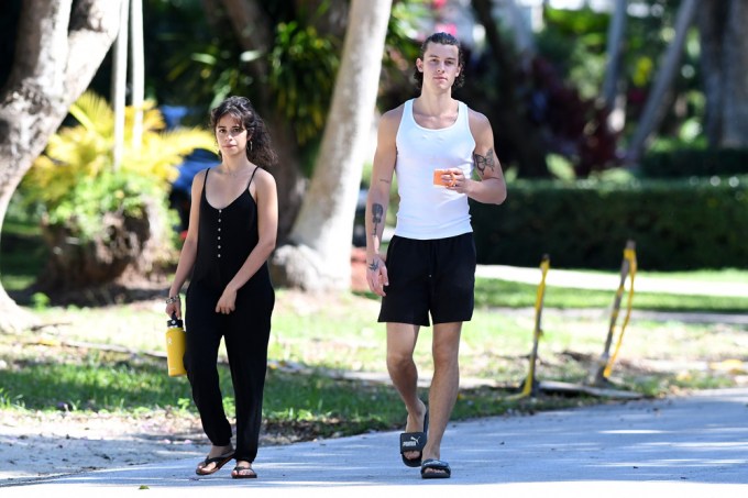 Shawn Mendes and Camila Cabello Taking A Walk