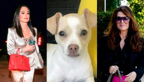 Kyle Richards, Lisa Vanderpump