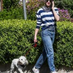 Lucy Hale dog walk stripes