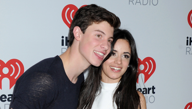 Camila Cabello Flirts With Shawn Mendes At His LA Concert: ‘You’re ...