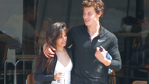 Camila Cabello Likes Shawn Mendes & Is More Ready To Show It In Public ...