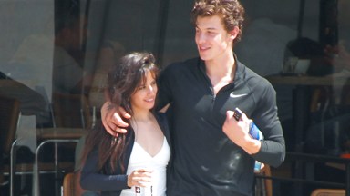 Shawn Mendes and Camila Cabello