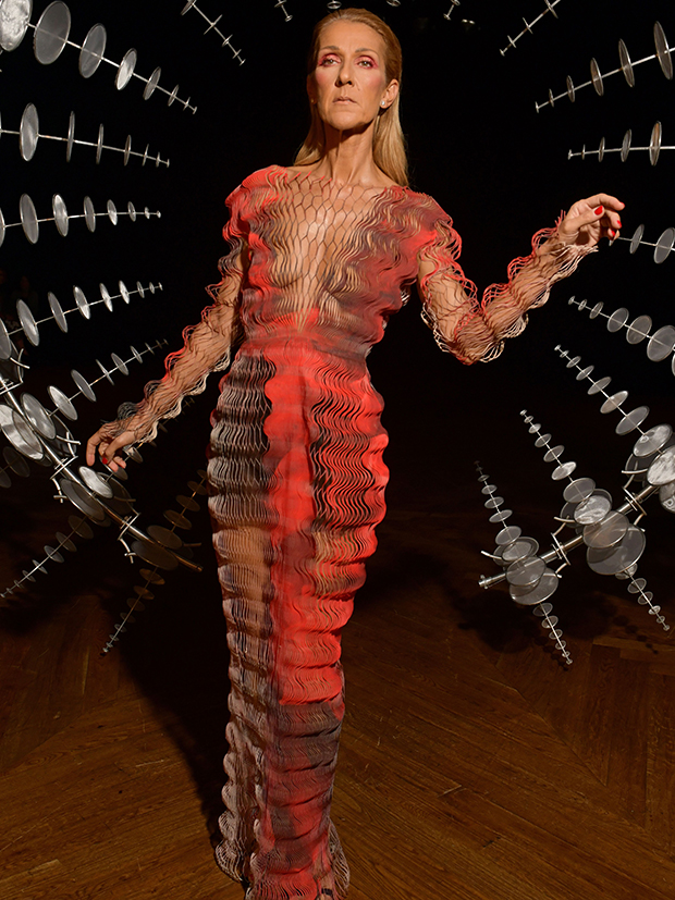 Celine Dion Sheer Dress