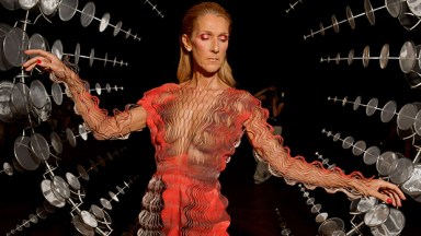 Celine Dion Sheer Dress