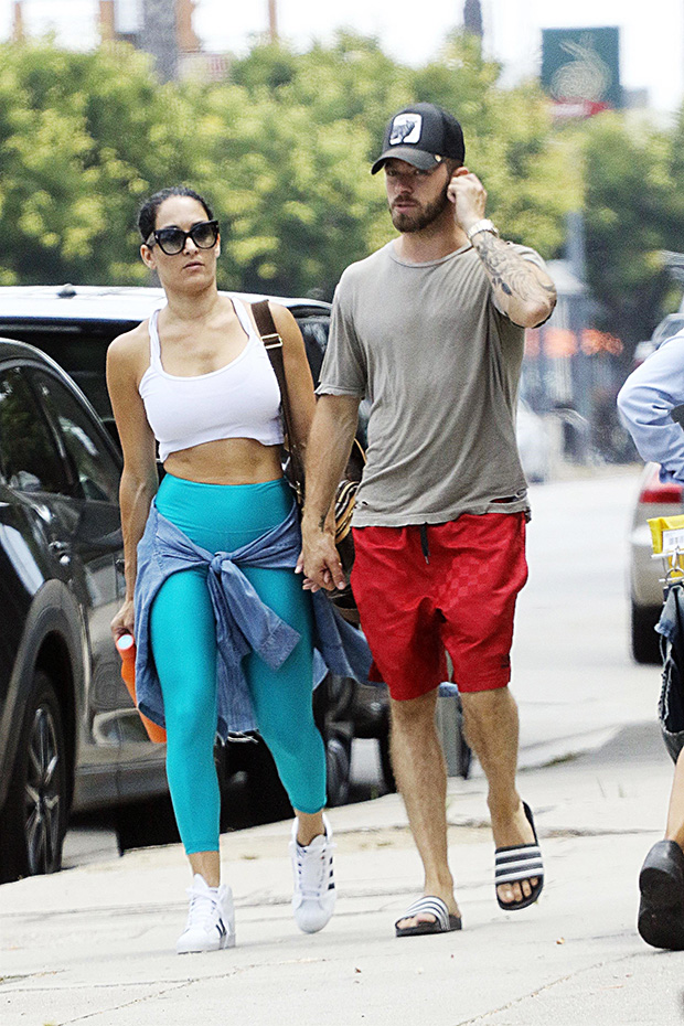 Nikki Bella, Artem Chigvintsev