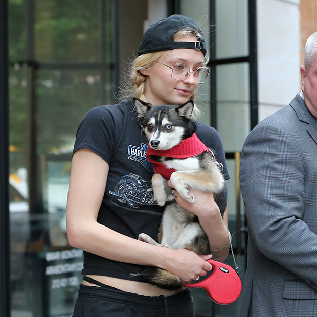 Sophie Turner and dog Waldo