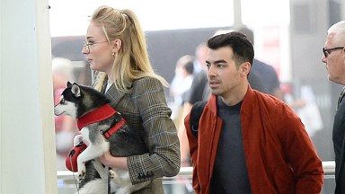 Joe Jonas, Sophie Turner and dog Waldo