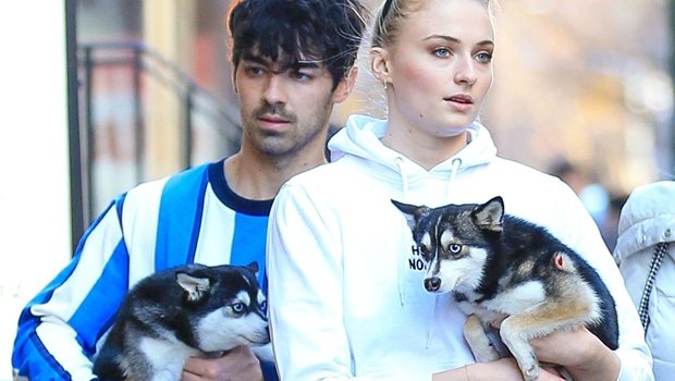 sophie turner joe jonas