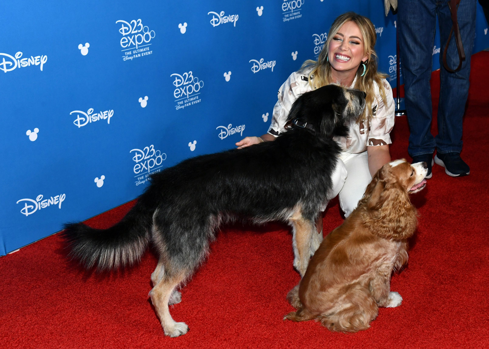 Disney Plus Showcase, Arrivals, D23 Expo, Anaheim, USA - 23 Aug 2019