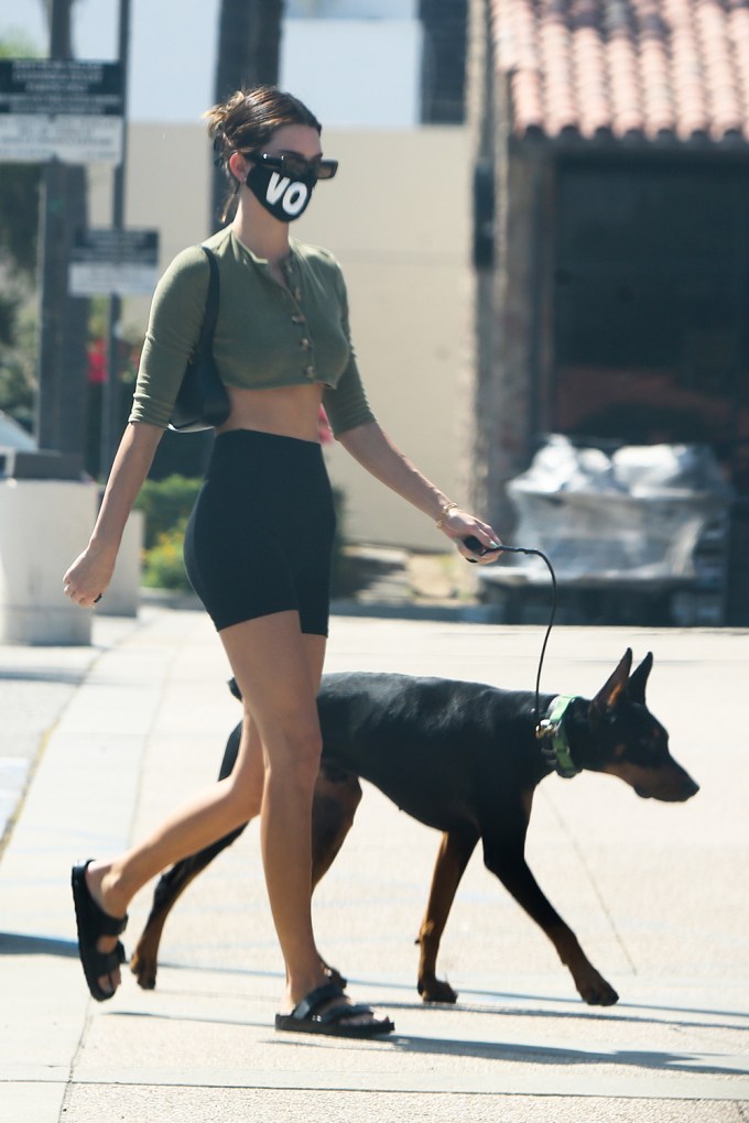 Kendall Jenner Walking Her Dog