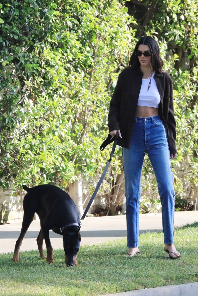 Kendall Jenner In A Crop Top & Jeans