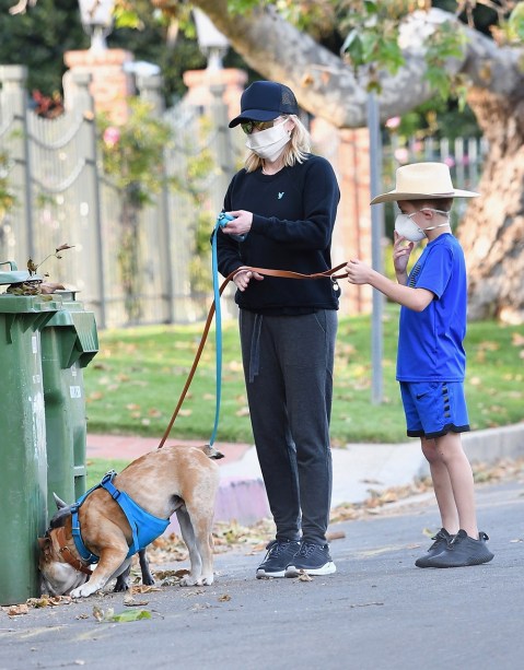 Celebrities Walking Their Dogs: Photos – Hollywood Life