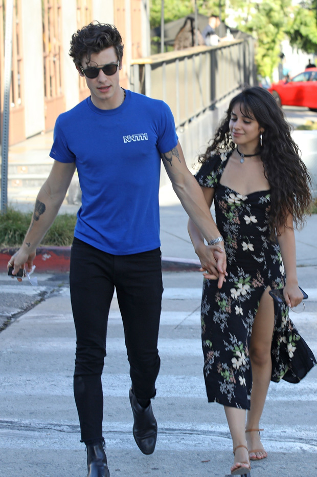 Shawn Mendes and Camila Cabello