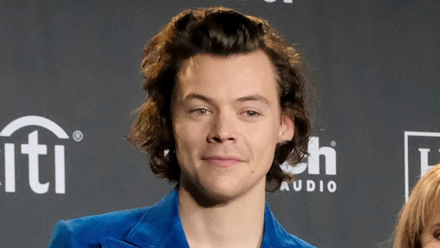 Harry Styles New Hair A Short Sexy Makeover That Left Fans Buzzing Hollywood Life