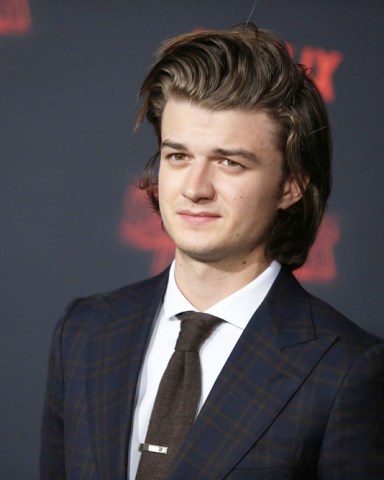 Joe Keery
'Stranger Things 2' TV show premiere, Arrivals, Los Angeles, USA - 26 Oct 2017