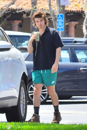 EXCLUSIVE: 'Stranger Thing's actor Joe Keery carries his Australian Shepherd puppy as he steps out for a green juice with his girlfriend, Maika Monroe. The couple were seen stopping by a juice shop in Santa Monica with friends. 27 Apr 2020 Pictured: Joe Keery and Maika Monroe. Photo credit: Snorlax / MEGA TheMegaAgency.com +1 888 505 6342 (Mega Agency TagID: MEGA654151_003.jpg) [Photo via Mega Agency]