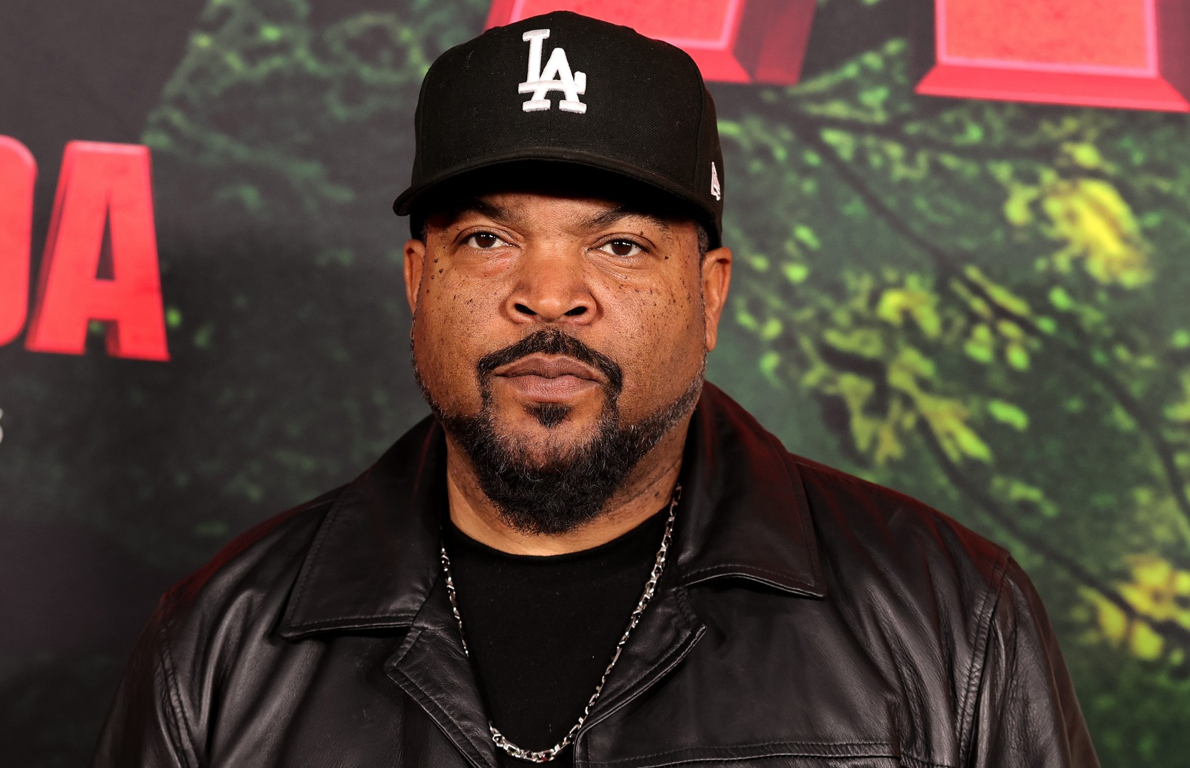 Ice Cube Then & Now: See Photos of the Rapper Over the Years