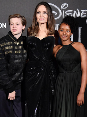 Why Angelina Still Doesn't Want Joint Custody Of Kids With Brad Pitt –  Hollywood Life