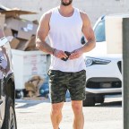 *EXCLUSIVE* Liam Hemsworth looks ripped post arm day workout