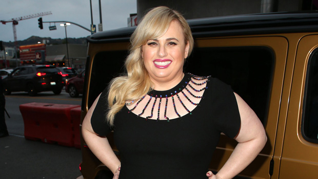 Rebel Wilson Looks Thinner Than Ever In Black Dress — Pic – Hollywood Life