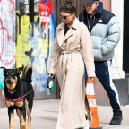Emily Ratajkowski And Husband Sebastian Bear-McClard Walk Their Dog Colombo In New York City