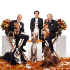 The National Dog Show Presented by Purina - Season - 18