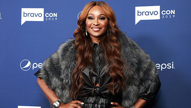 Cynthia Bailey Rocks Braids In Photo: See Her New Hairstyle – Hollywood ...