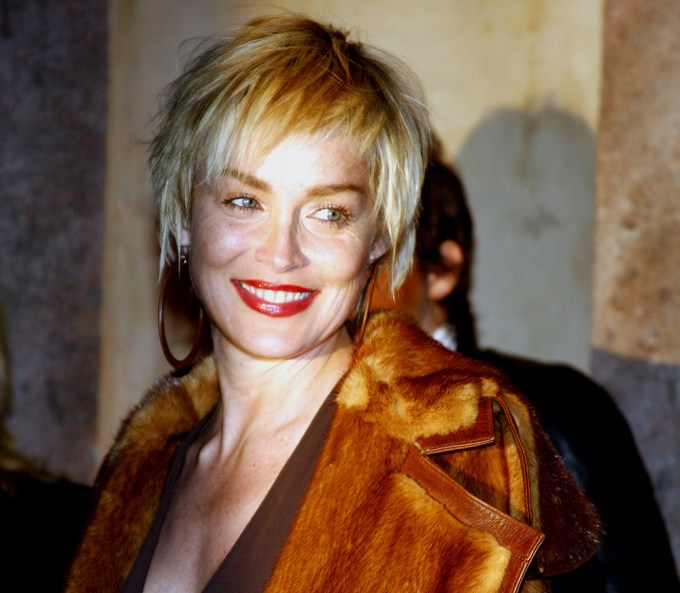 Sharon Stone In 2007