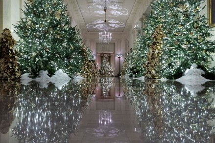 The Cross Hall leading into the State Dinning Room is decorated during the 2019 Christmas preview at the White House, in Washington
White House Christmas, Washington, USA - 02 Dec 2019