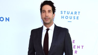 david schwimmer