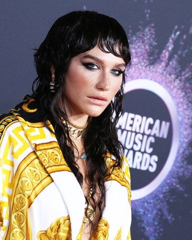 Kesha
47th Annual American Music Awards, Arrivals, Microsoft Theater, Los Angeles, USA - 24 Nov 2019