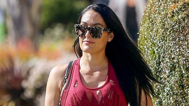 Nikki Bella S Baby Bump In 1st Pics Since Her Pregnancy Announcement Hollywood Life