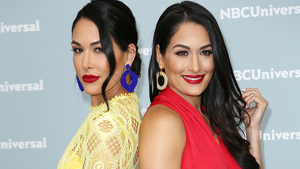 Nikki & Brie Bella's Maternity Fashion: Pics Of Their Pregnancy Looks –  Hollywood Life