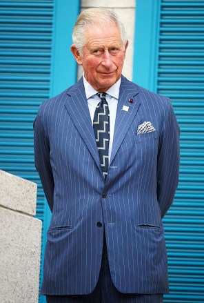 Prince Charles at the British Embassy  Prince Charles attends a reception at the ambassador's residence in Tokyo, Japan - 23 Oct 2019. He will be the guest of honor at a reception to celebrate the partnership between the United Kingdom and Japan. Organized by His Excellency Paul Madden, British Ambassador at the British Embassy  residence.  He will welcome visitors  along with Deputy Prime Minister and Finance Minister Taro Aso in the garden of their residence  Before the royal visit, there will be a closing speech.  The British Embassy and British Council in Japan are running the 'UK in JAPAN 2019-20' campaign until the end of the Olympic and Paralympic Games in September 2020. The campaign will showcase business, culture, science and education. The best of the UK and working to strengthen existing ties and build new partnerships between the UK and Japan.  The reception will serve as the opening of the 'UK House', where events will be held.  Plenty throughout the year  Food and drink from all corners of the UK, including Scottish salmon and Welsh lamb, will be served in a Japanese style.