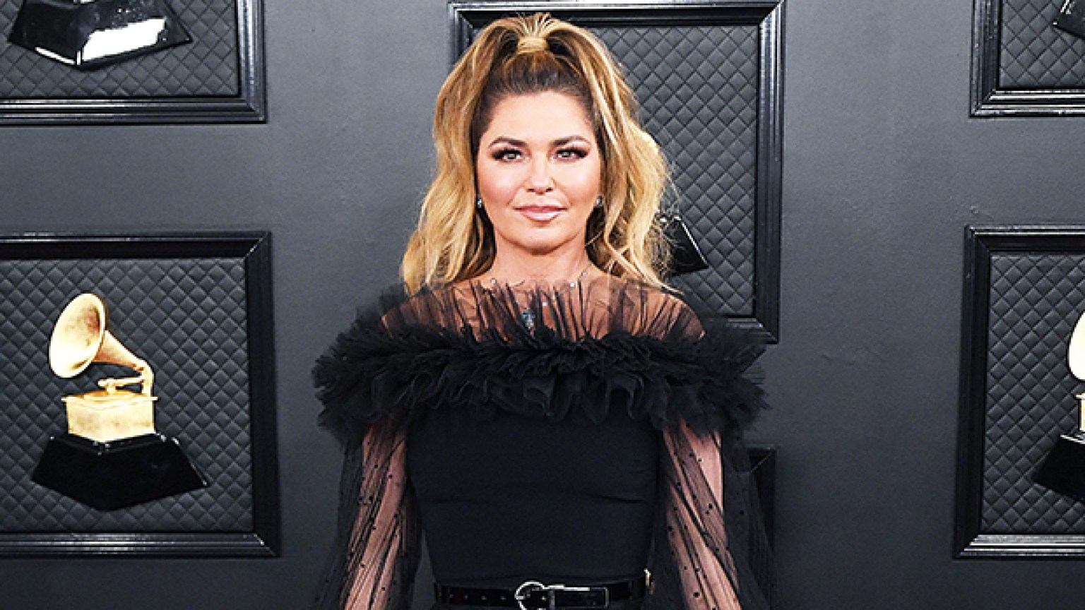 Shania Twain’s Outfit At Grammy Awards 2020: See Pics – Hollywood Life