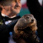 Groundhog Day, Punxsutawney, USA - 02 Feb 2020