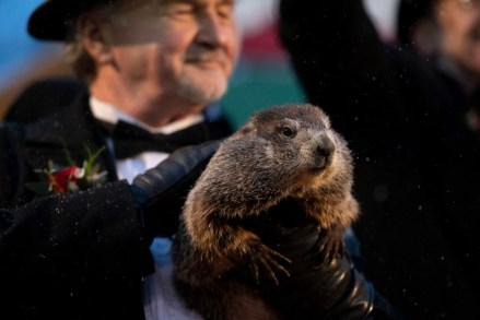Groundhog Club co-handler John Griffiths holds Punxsutawney Phil, the weather prognosticating groundhog, during the 134th celebration of Groundhog Day on Gobbler's Knob in Punxsutawney, Pa. . Phil's handlers said that the groundhog has forecast an early spring
Groundhog Day, Punxsutawney, USA - 02 Feb 2020
