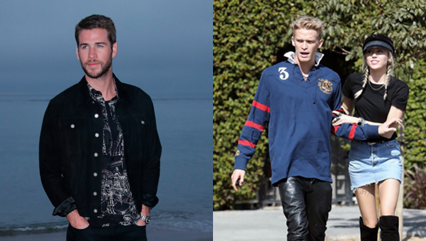 Liam Hemsworth, Miley Cyrus, Cody Simpson