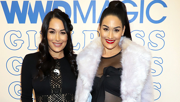 Nikki & Brie Bella’s Pregnancy Style: Photos Of Their Maternity Looks ...