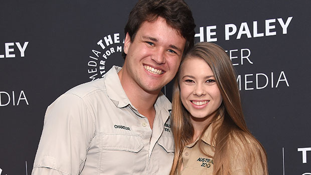 bindi irwin chandler powel