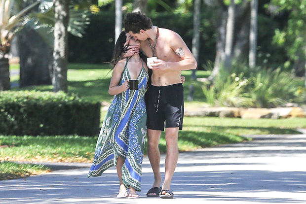 Camila Cabello & Shawn Mendes kissing 