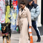 Emily Ratajkowski And Husband Sebastian Bear-McClard Walk Their Dog Colombo In New York City