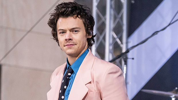 Harry Styles appears in fishnets on the cover of Beauty Papers magazine