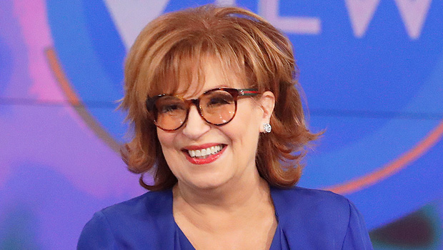 The View Co Hosts On Joy Behar Leaving We Understand Hollywood Life